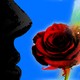 Silhouette of man smelling rose