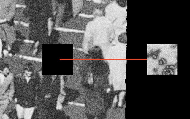 A block of flu is removed from a picture of a crowd