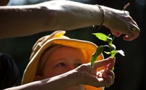 A person holding up the stem of a plant