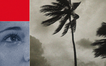 A collage of a palm tree in a storm and a human eye