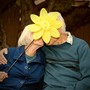 An older couple is kissing, and the woman is holding up a large yellow plastic lawn flower to hide their faces.