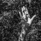 A hand raised in prayer, in black and white with shadows of leaves on the hand