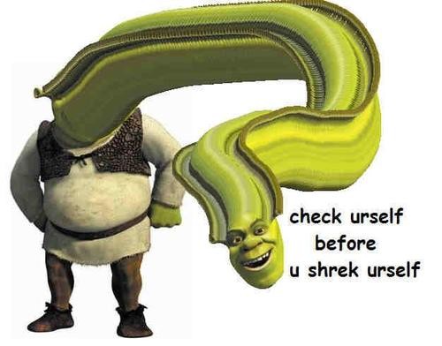 Shrek dos Memes