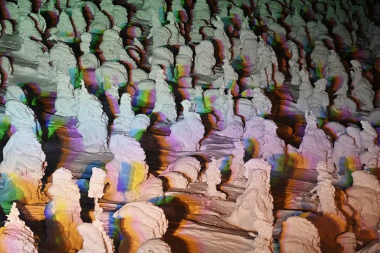 A stand of small trees, all completely covered by thick frost and snow, at night, lit by multi-colored lights