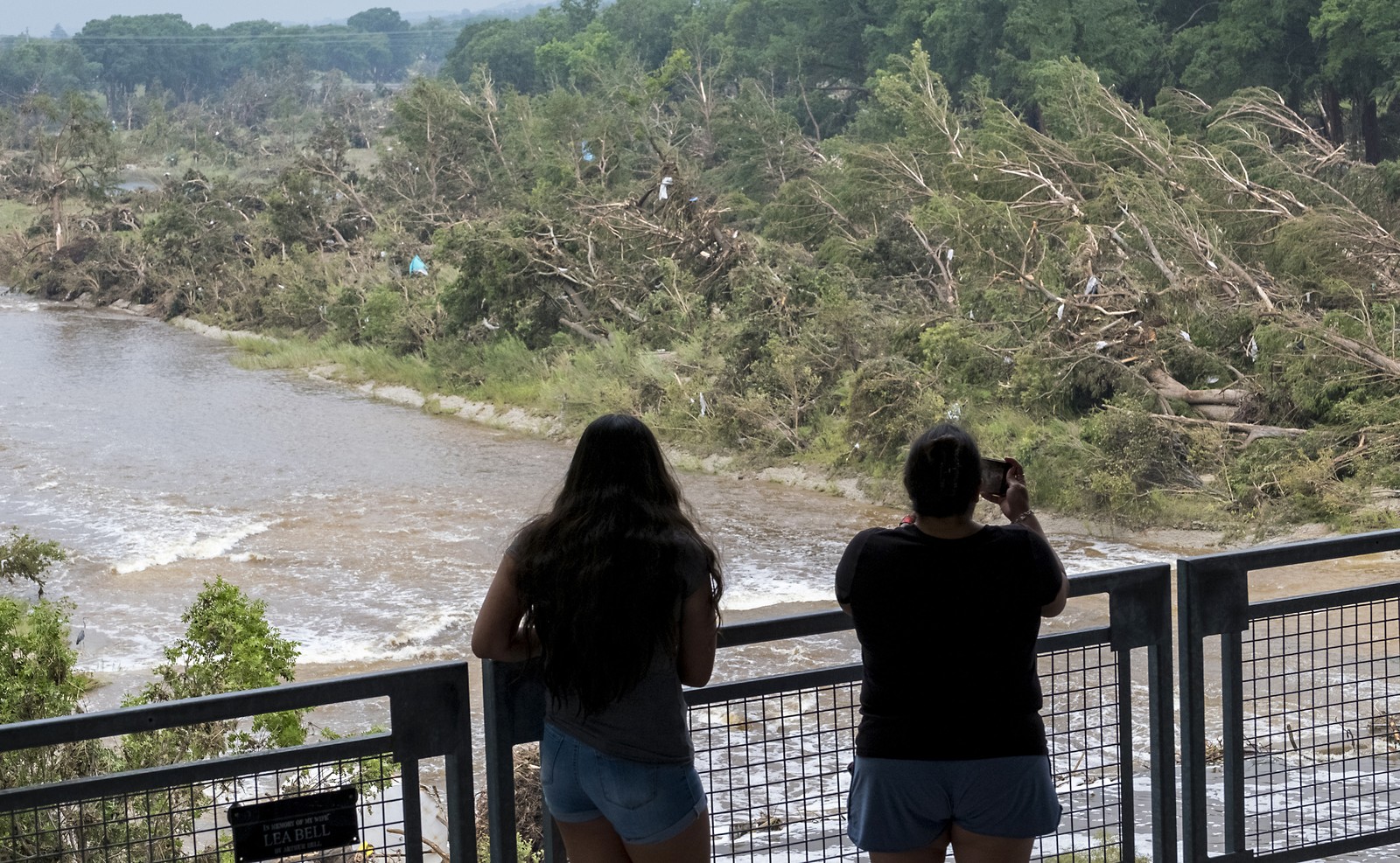Two people stand on a bridge, looking out over many fallen trees along a riverbank.