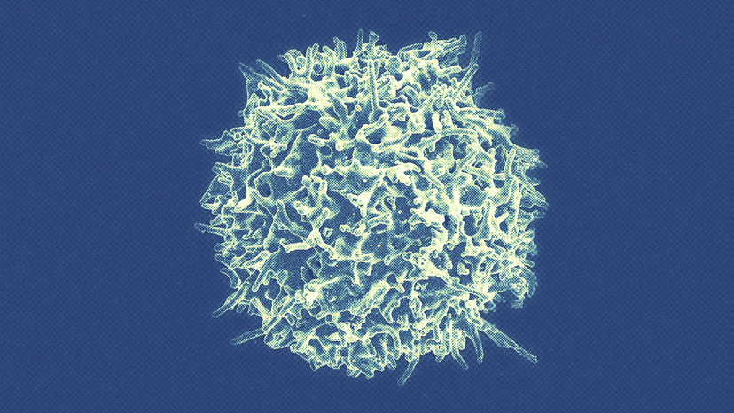 A Cancer Treatment That Does More Than Scientists Thought - The Atlantic