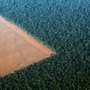 Deforested land in Brazil