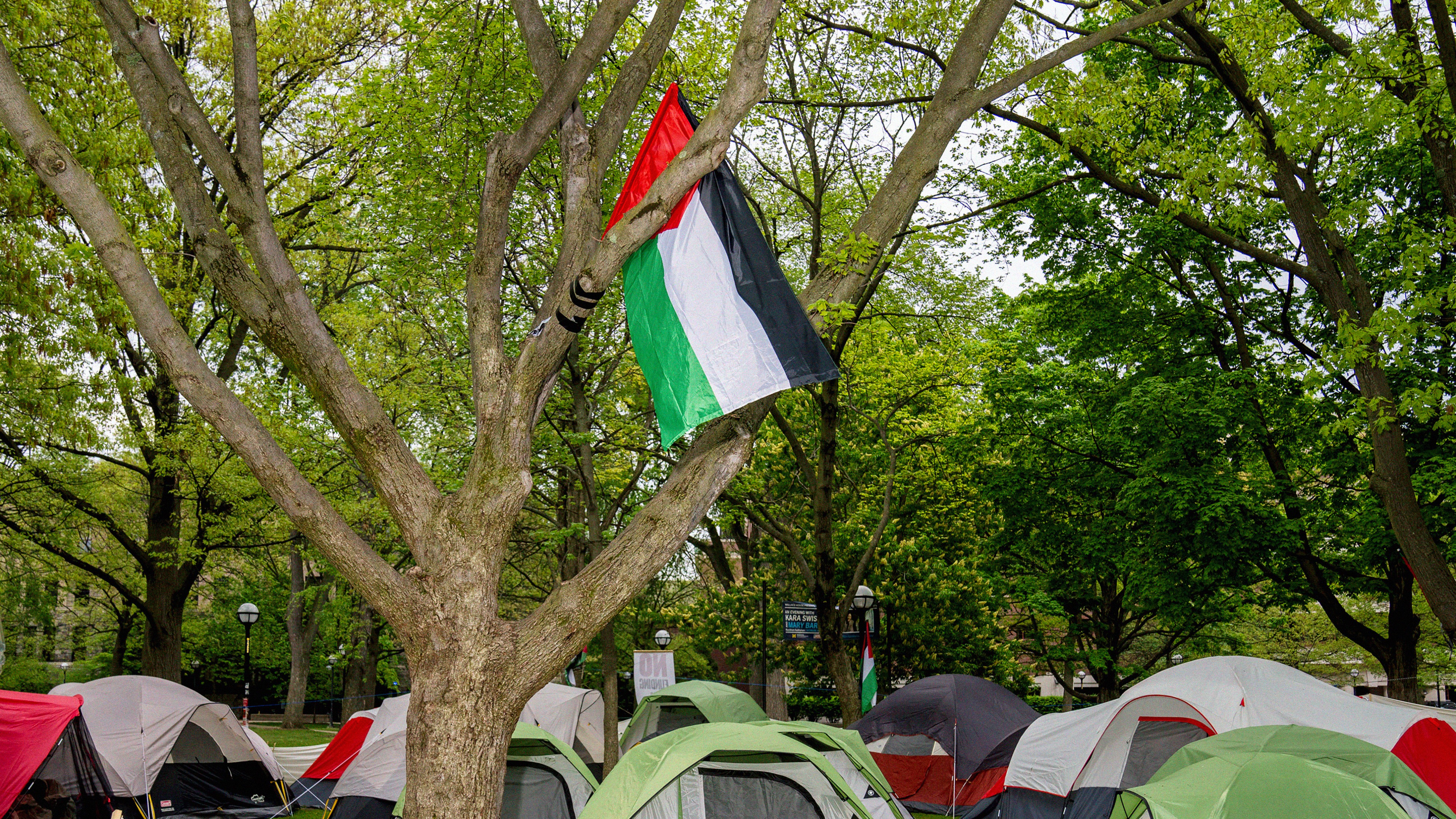 Progressive Activists Are Sometimes on the Wrong Side of History