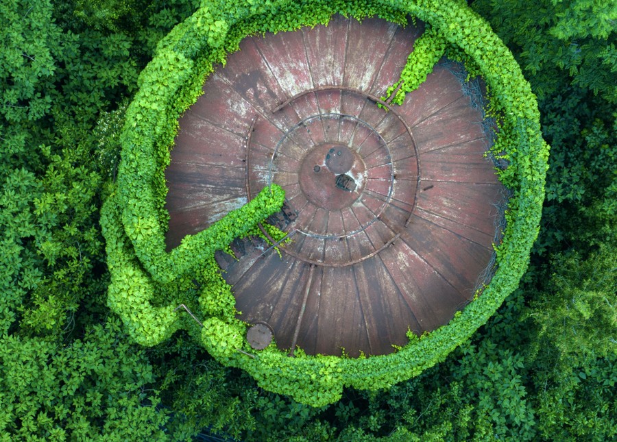 An aerial view of a large oil tank partially covered in clinging plants