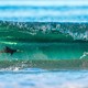 A penguin swims just beneath the surface of an ocean wave as it is about to crash.