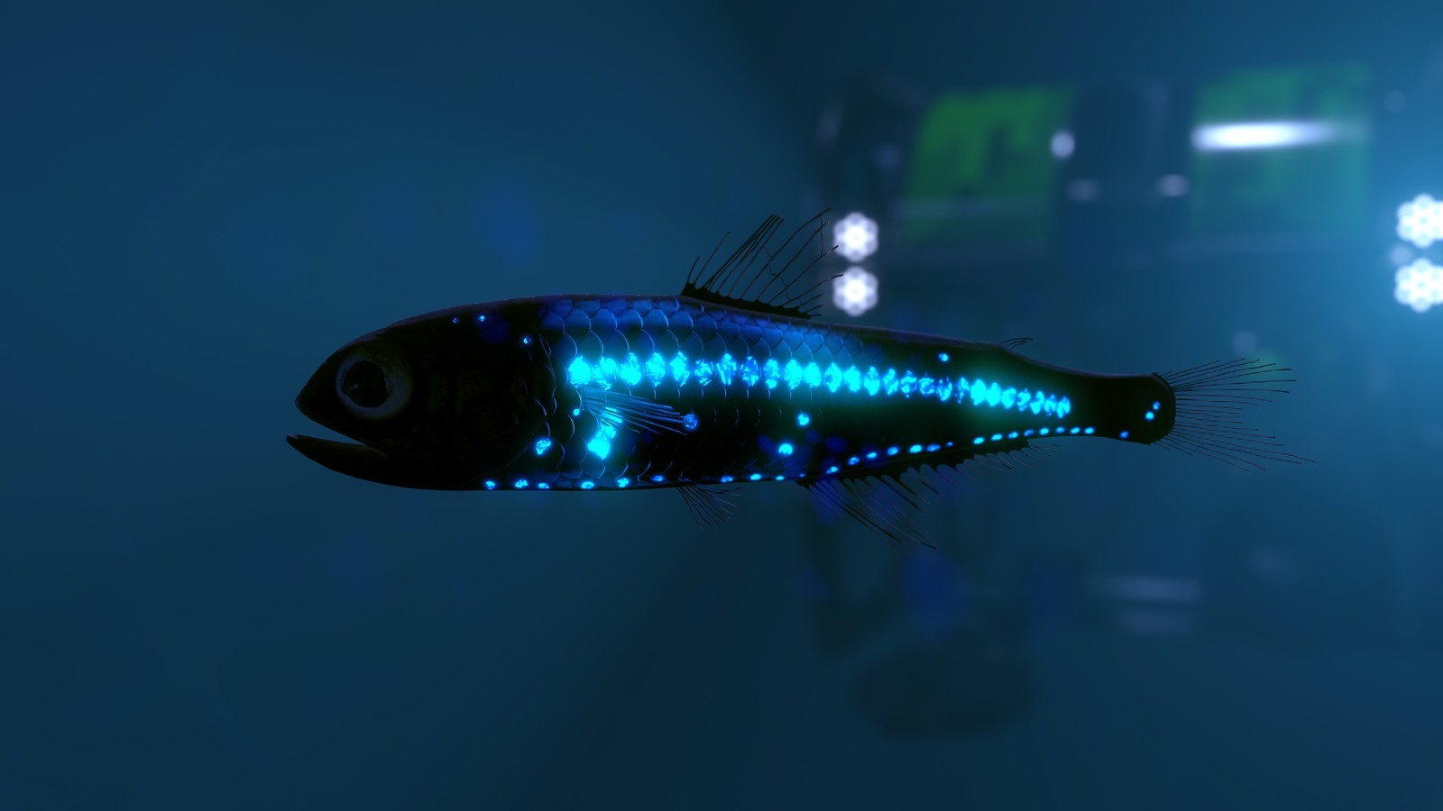 A lanternfish, illuminated by a remotely-operated underwater vehicle in the background