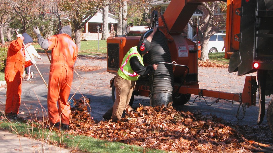 Workers clean up leaves on a suburban street.