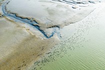 Brown marshland coming up against a green sea