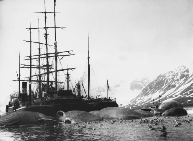 A whaler in Spitsbergen, Norway