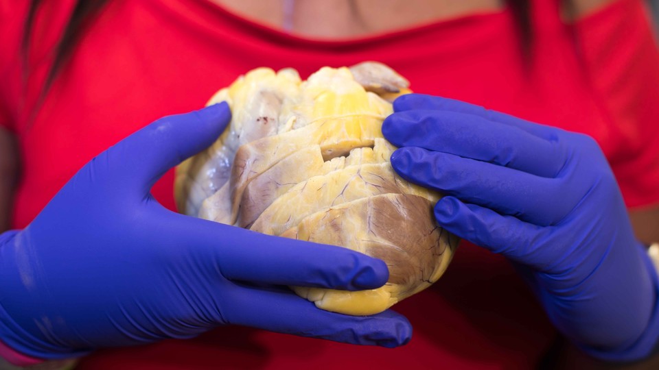 A woman wearing a red shirt and plastic gloves holds her own heart in front of her chest.