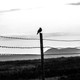 An image of barbed wire with mountains in the background.