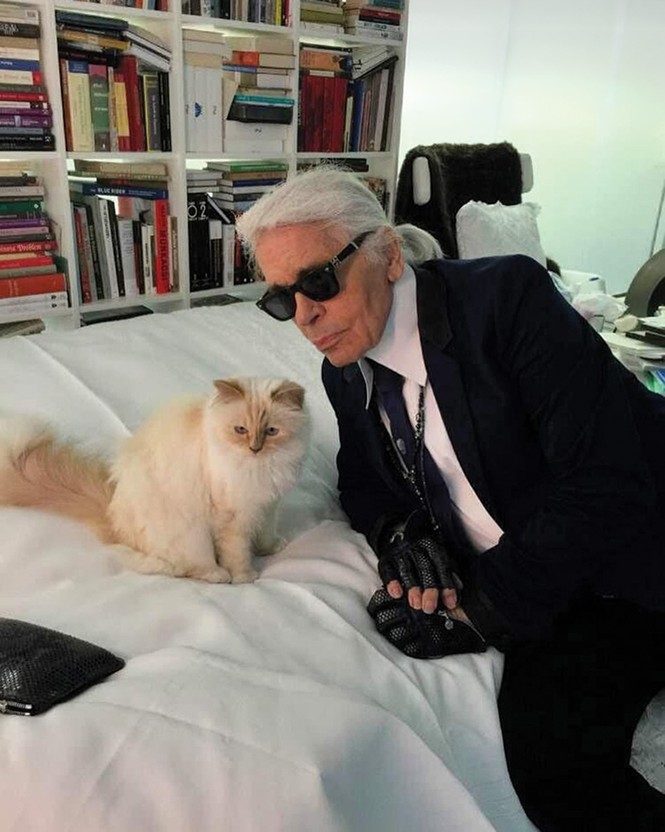 photo of Karl Lagerfeld in black suit, tie, sunglasses, and gloves and white shirt leaning over fluffy cat on cushion with bookshelves in background