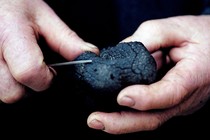 Someone saving a truffle