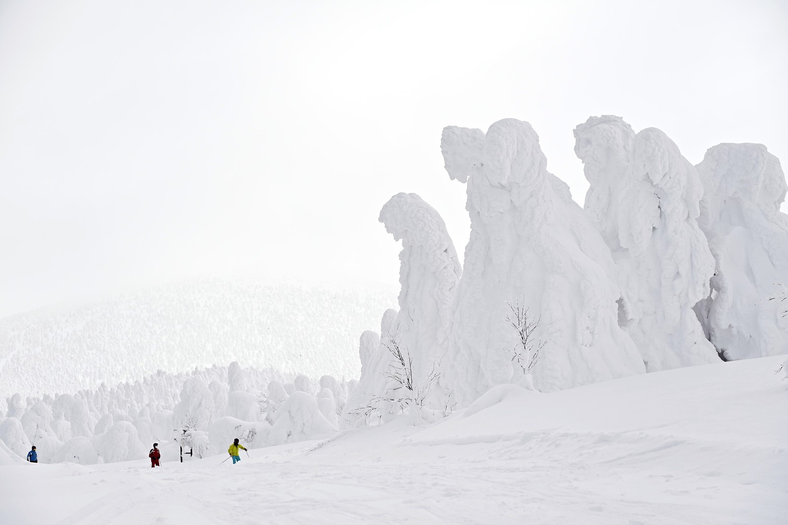 People walk near trees covered in thick snow and ice.