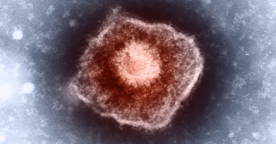 Why Do We Need Separate ChickenPox and Shingles Vaccines? The Atlantic