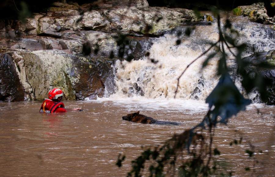 A rescue worker swims with a dog in a muddy stream.