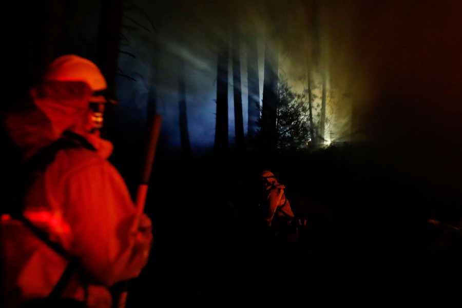 Two firefighters work on a forest fire at night.