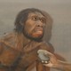 An artist's impression of <em>Homo Ergaster</em>