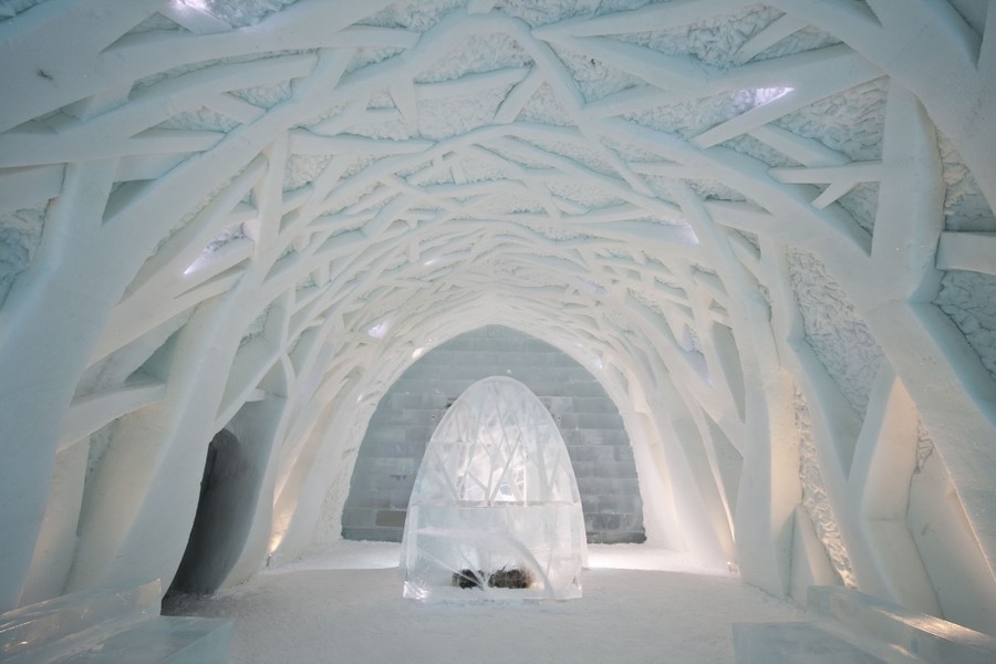 Một căn phòng được chạm khắc từ băng tuyết, giống như một sảnh vào với tường và trần được bao phủ bởi những cành cây đầy nghệ thuật