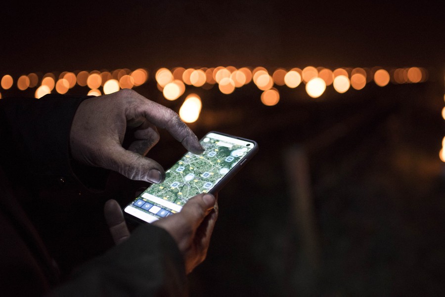 A person checks the weather using their phone, at night, in a vineyard, at night.