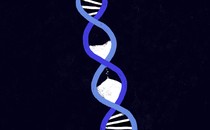 An illustration of DNA with sand passing through the double helix as if through an hourglass