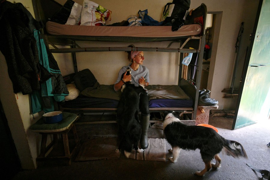 A person sits on the lower bunk of a bunkbed, with two attentive dogs at her feet.