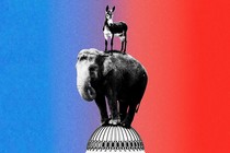 A donkey atop an elephant atop the Capitol