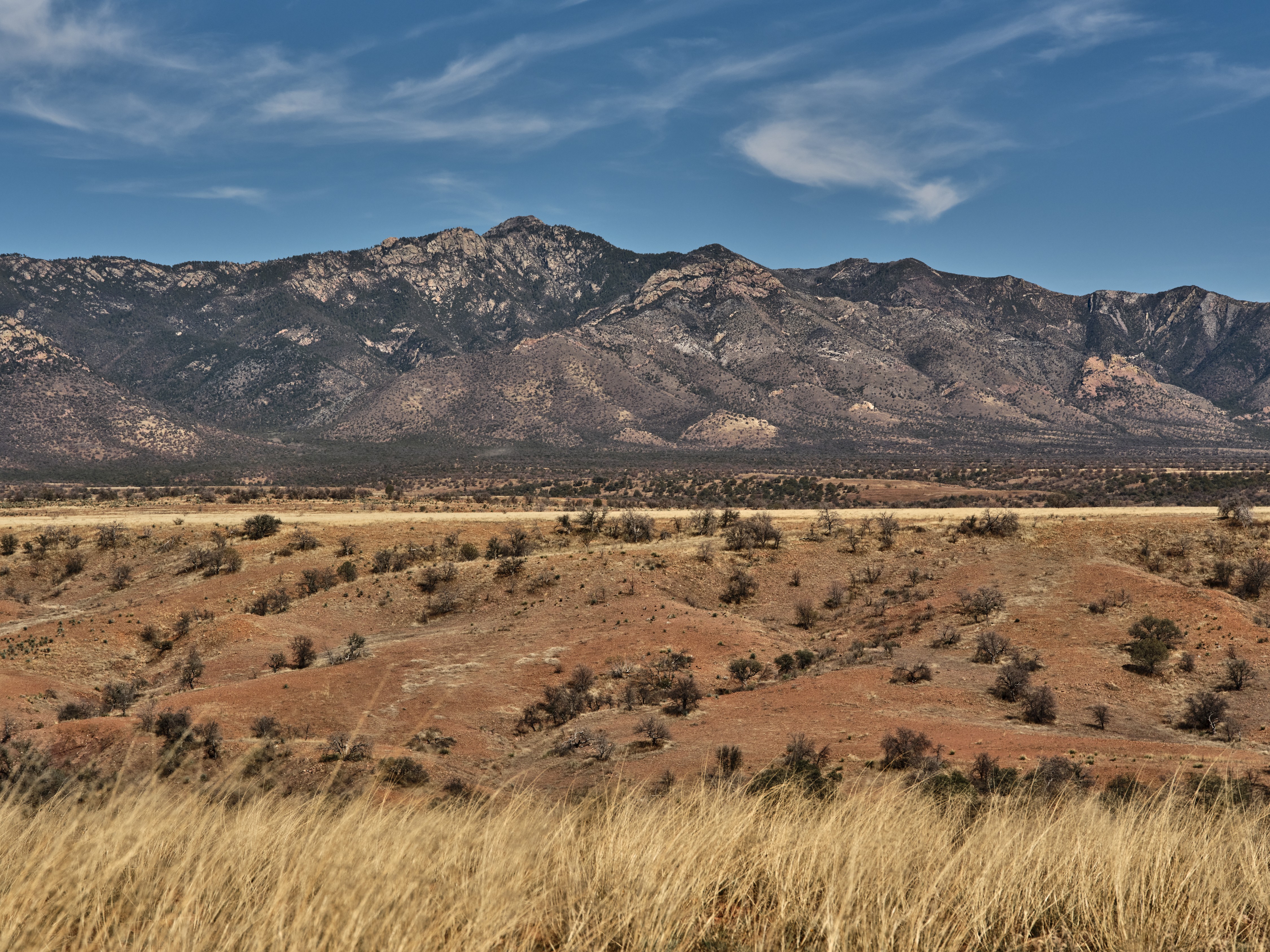 The grasslands near the U.S.-Mexico border in the San Rafael Valley.