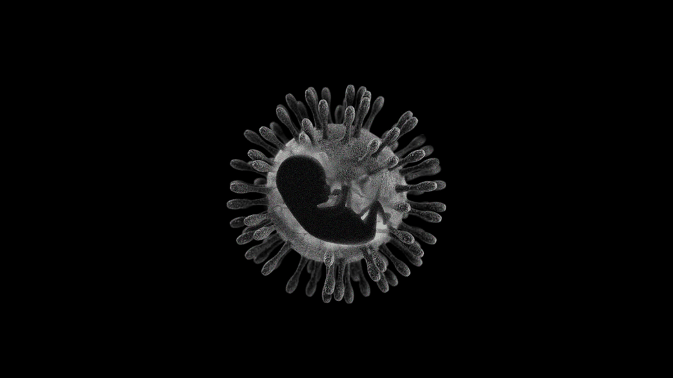 The silhouette of a fetus overlays an image of a virus