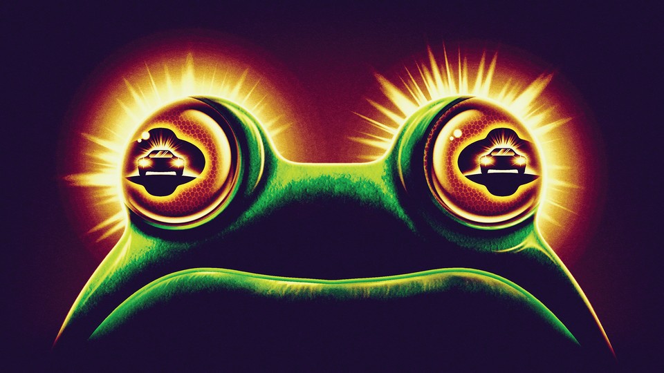 frog with car headlights in eyes