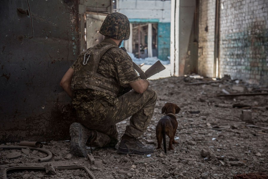 A soldier kneels amid debris beside the corner of a building, with a small dog beside him.