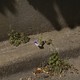 a purple flower growing out of a concrete curb
