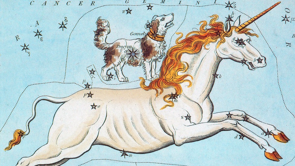 A unicorn
