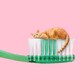 an orange cat atop a green toothbrush on a pink background