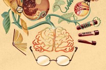 a tree grow sout of a bran with medical implements and organs wrapped in it