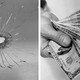 A photo collage of a window with a bullet hole next to a wad of cash