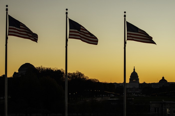 flags in front of the US capitol