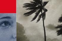 A collage of a palm tree in a storm and a human eye