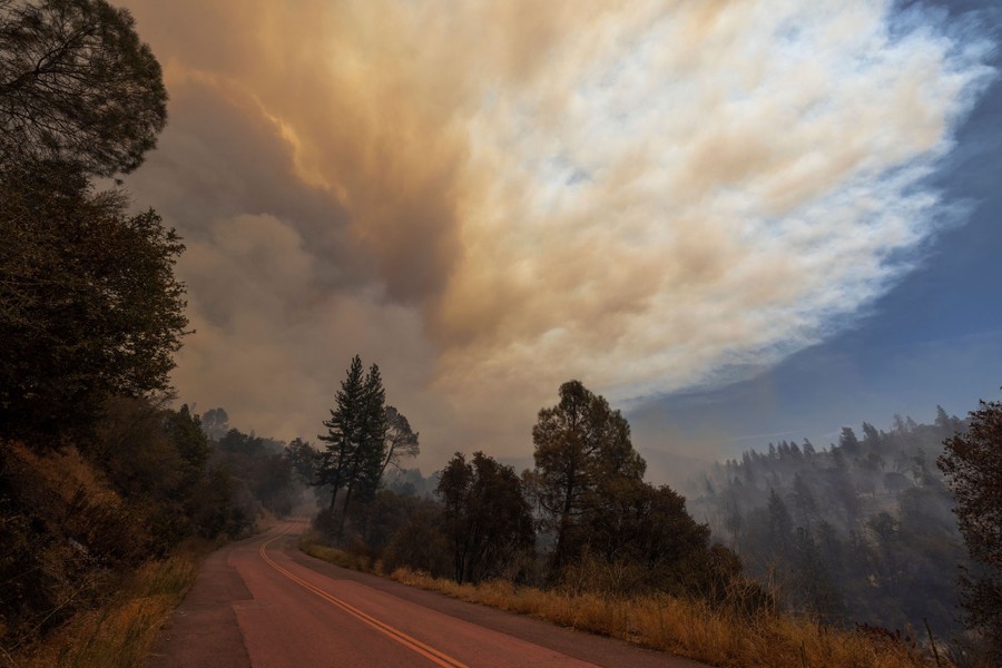Smoke spreads in the sky above a forest road.