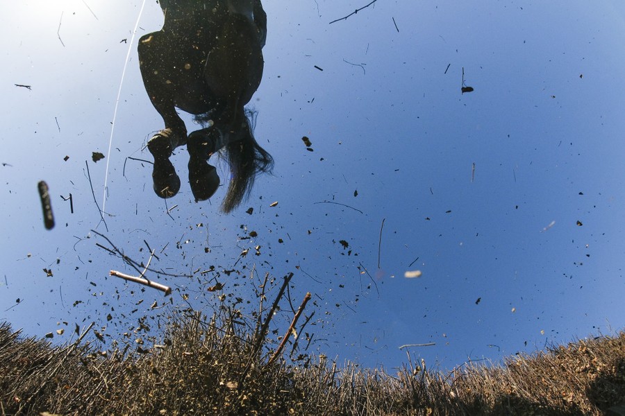 An upward-facing view of a race horse clearing a fence made of sticks and brush