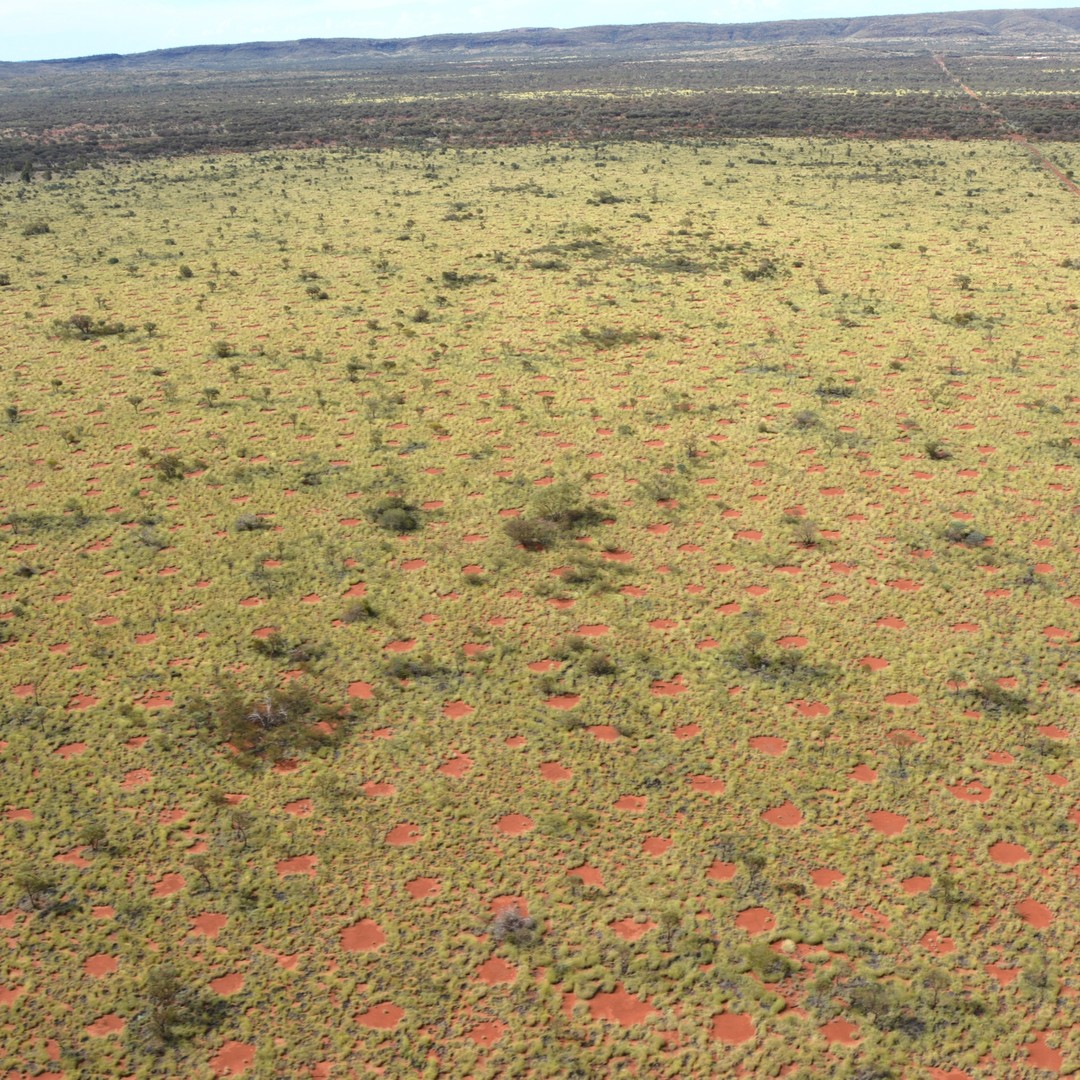 Fairy Circles in Namibia - All Facts about the Natural Phenomenon