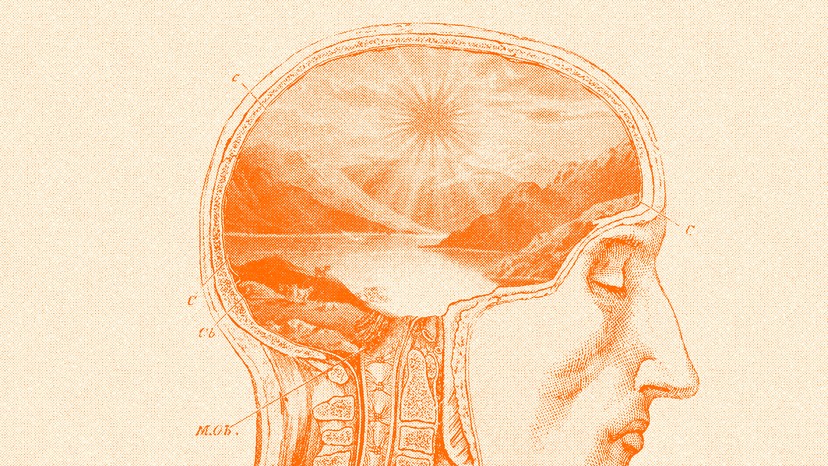 What Does ‘Genius’ Really Mean? - The Atlantic
