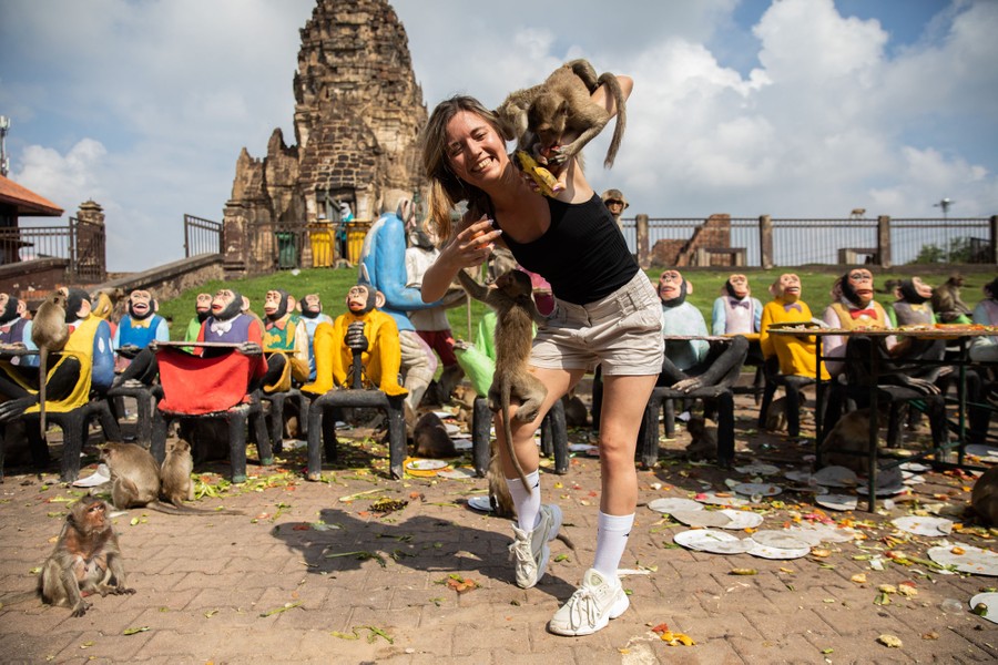 Monkeys climb on top of a tourist in front of carved sculptures of chimpanzees.