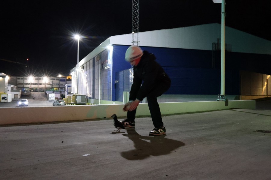 A person bends down to catch a small bird, with a warehouse in the background.