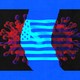 An image of a virus particle torn in half. An American flag is in the background.